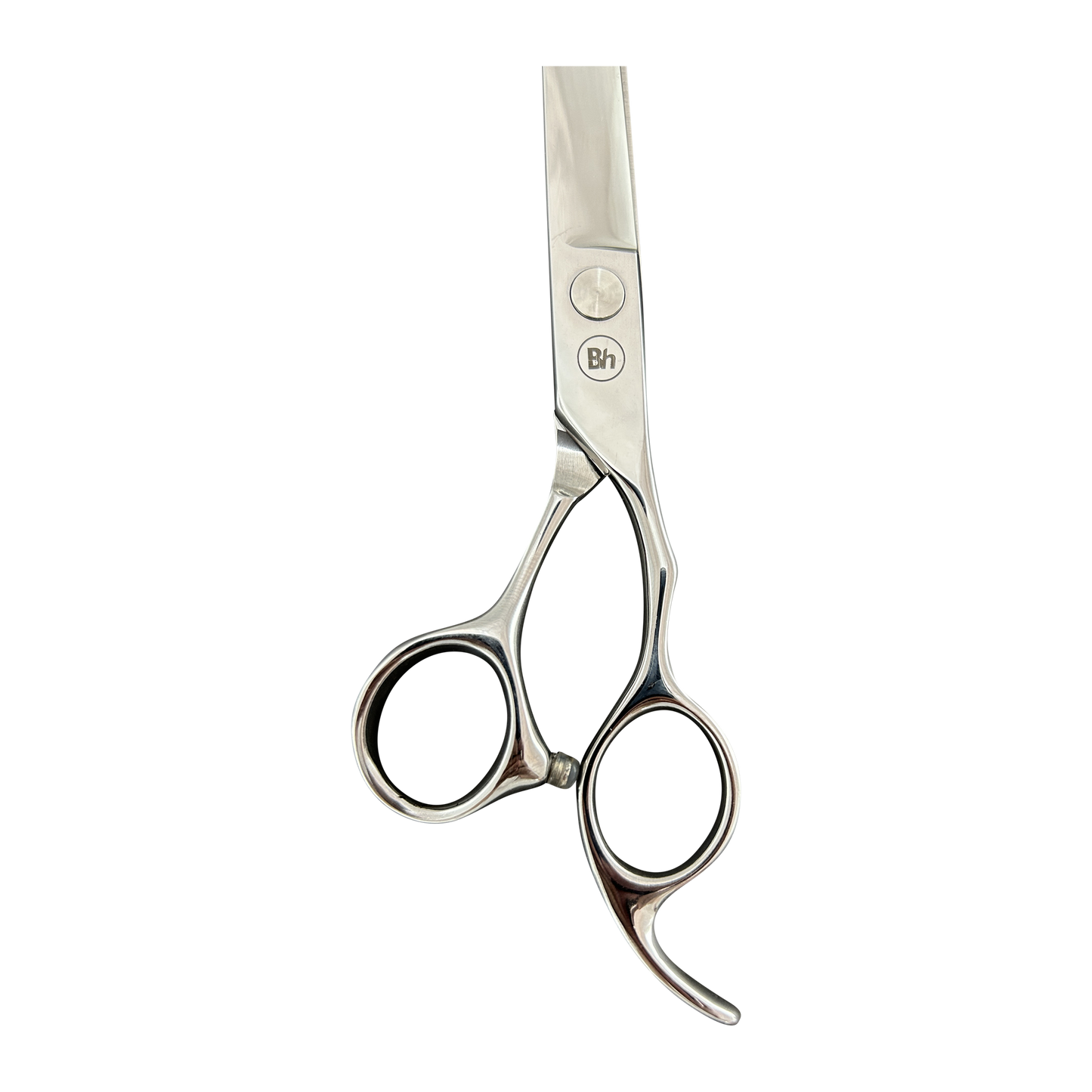Zen - Curved Shear